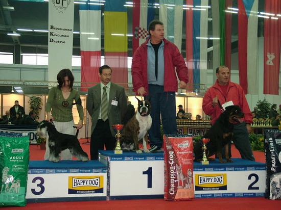 Express Man Rezlark Cacib Sremski Karlovci
