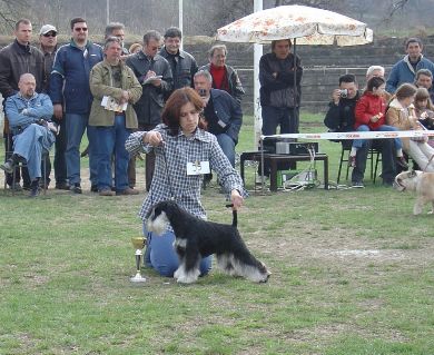 Express Man Rezlark Cacib Jagodina