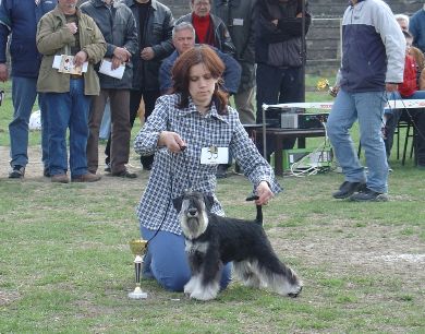 Express Man Rezlark Cacib Jagodina