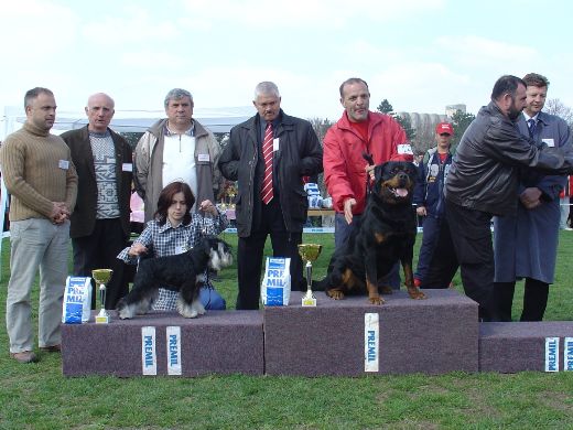 Express Man Rezlark Cacib Jagodina