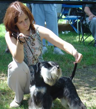 Express Man Rezlark  Cacib Krusevac