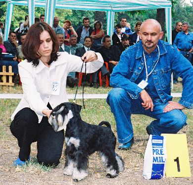 Express Man Rezlark Cacib Nis