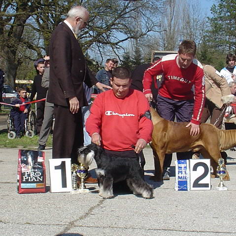 Express Man Rezlark Cacib S.Palanka