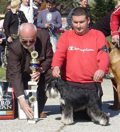 Express Man Rezlark Cacib S.Palanka