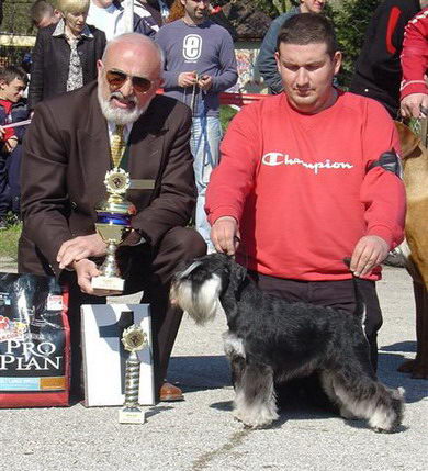Express Man Rezlark Cacib S.Palanka