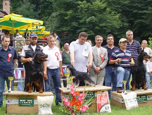Express Man Rezlark Cacib Sremski Karlovci