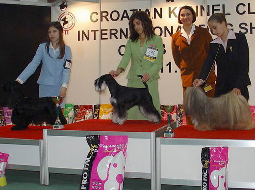 Express Man Rezlark Cacib Zagreb