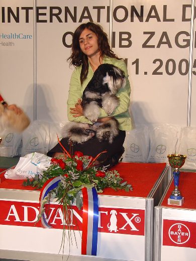 Express Man Rezlark Cacib Zagreb