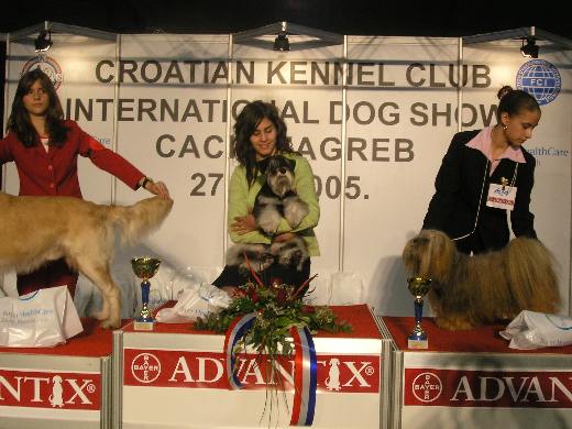 Express Man Rezlark Cacib Zagreb