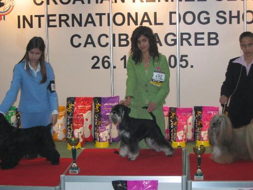 Express Man Rezlark Cacib Zagreb