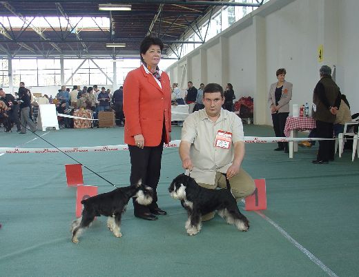 Express Man Rezlark Cacib Zagreb
