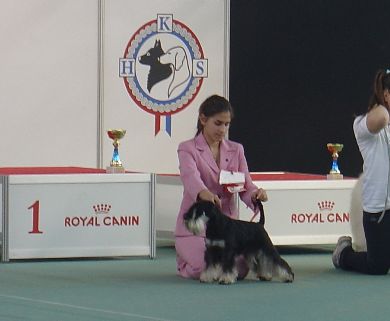 Express Man Rezlark Cacib Zagreb