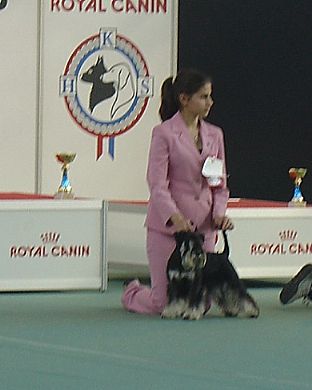 Express Man Rezlark Cacib Zagreb