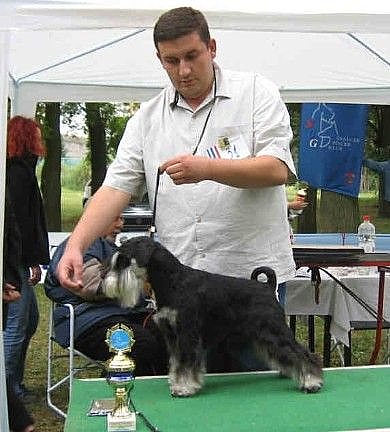 Express Man Rezlark Specialty Show