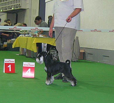 Express Man Rezlark ISPU show 2005