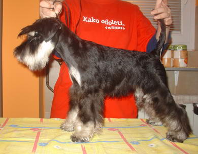 House Kazak