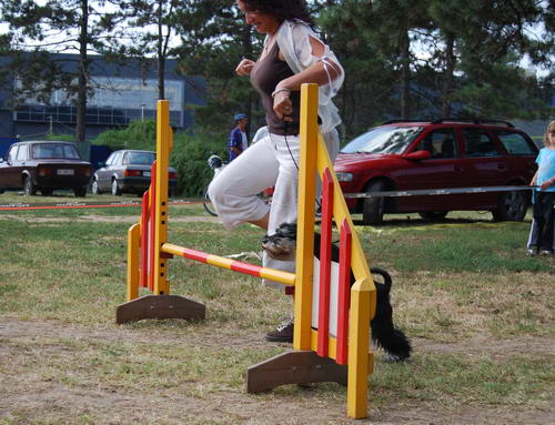 Gallery-Boza.html