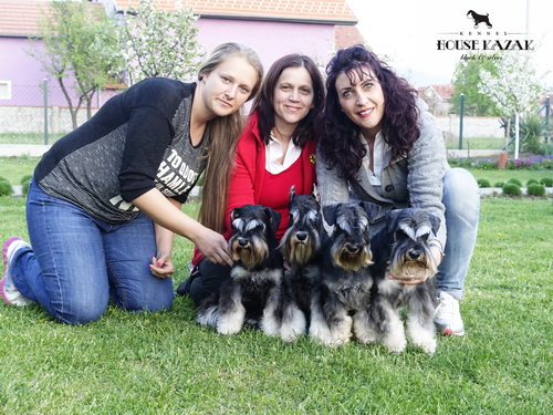 House Kazak Team