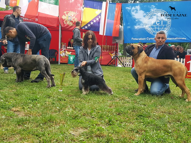 Repitition's Shogun "Vuk" (Repitition's Valedictorian & Myla's The Devil Wears Prada ) - junior class - JCAC, JBOB, BOB
