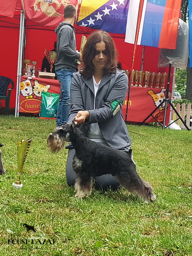 Repitition's Shogun "Vuk" (Repitition's Valedictorian & Myla's The Devil Wears Prada ) - junior class - JCAC, JBOB, BOB