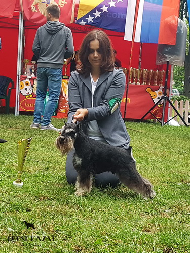 Repitition's Shogun "Vuk" (Repitition's Valedictorian & Myla's The Devil Wears Prada ) - junior class - JCAC, JBOB, BOB