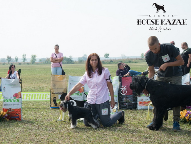 House Kazak Osaka ( Repitition's Shogun & House Kazak Ina ) - intermedia class - V1, CAC, Club Winner, BOB, RBIS