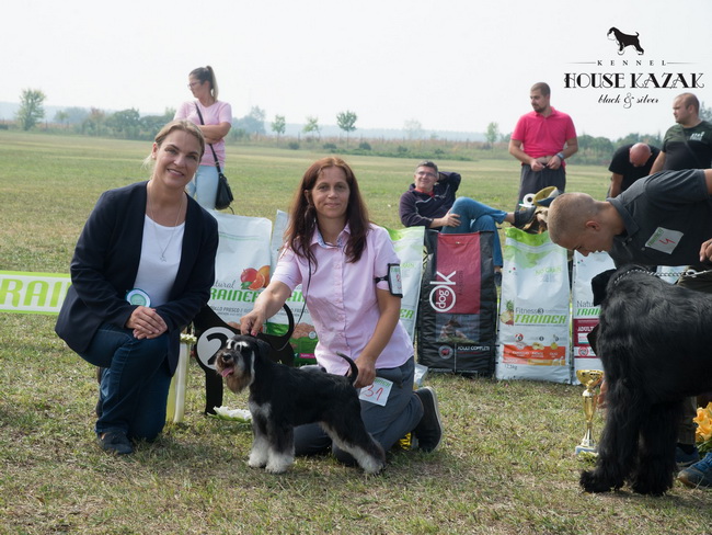 House Kazak Osaka ( Repitition's Shogun & House Kazak Ina ) - intermedia class - V1, CAC, Club Winner, BOB, RBIS