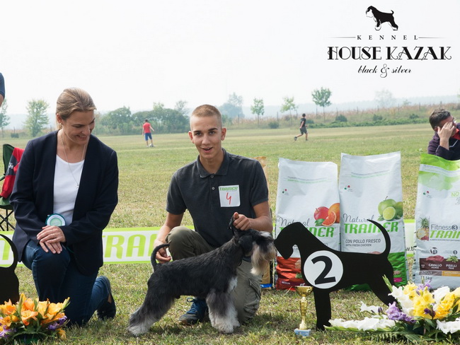House Kazak Oyama ( Repitition's Shogun & House Kazak Ina ) - intermedia class - V1, CAC, Club Winner, BOS
