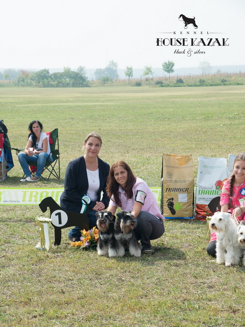 Osaka & Oyama & Viva - Best Group BIS