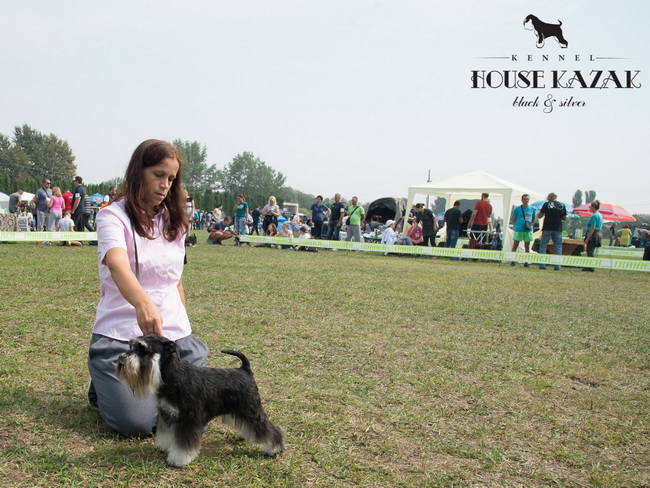 House Kazak Viva ( Repitition's Shogun & Heaven and Hell Helloween ) - junior class - V1, JCAC CAC, Junior Club Winner, JRBIS