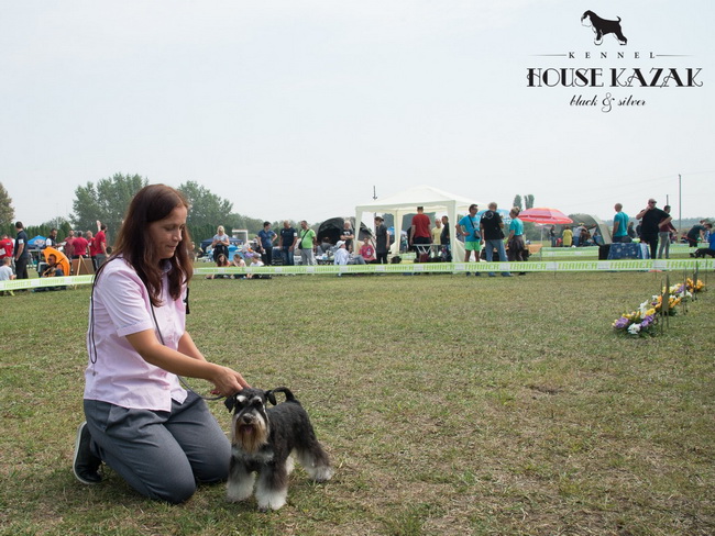 House Kazak Viva ( Repitition's Shogun & Heaven and Hell Helloween ) - junior class - V1, JCAC CAC, Junior Club Winner, JRBIS