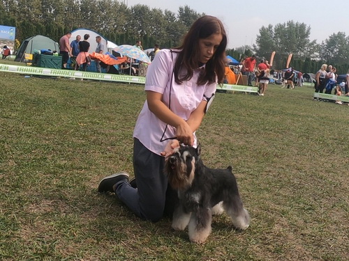 Repitition's Shogun ( Repitition's Valedictorian & Myla's Wear Devil Prada) - champion class - V1, CAC