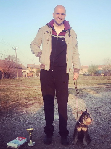 miniature schnauzer patuljasti snaucer House Kazak Eva 