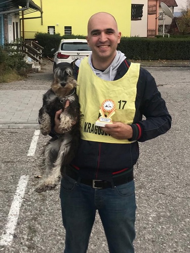 miniature schnauzer patuljasti snaucer House Kazak Eva 