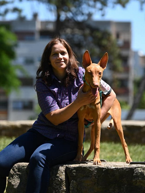 Reedly Road Ulia Pharaoh Hound