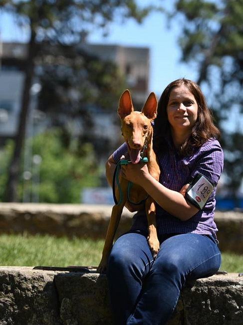 Reedly Road Ulia Pharaoh Hound