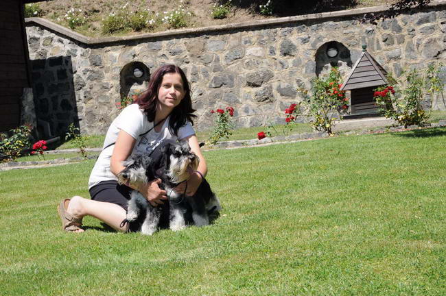 House Kazak miniature schnauzer patuljasti snaucer
